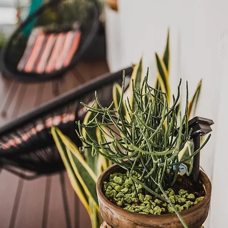 Dajana * ボヴェツ